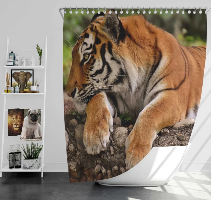 Tiger Dominance Shower Curtain