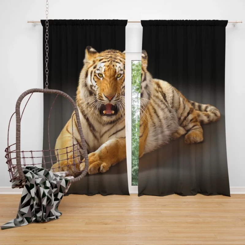 Tiger Dominance Wild Majesty Curtain