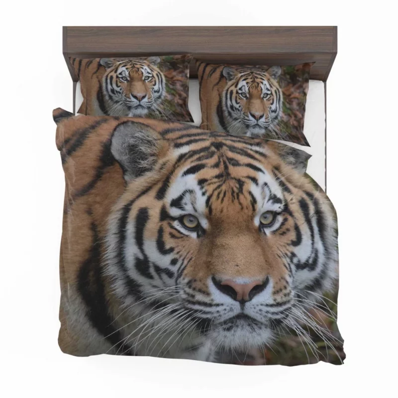 Tiger Dominant Stance Bedding Set 1