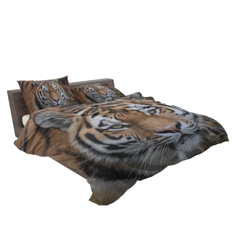 Tiger Dominant Stance Bedding Set 2