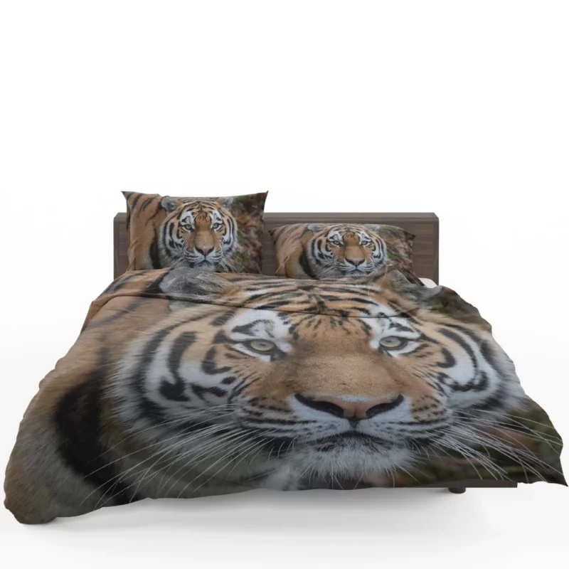 Tiger Dominant Stance Bedding Set