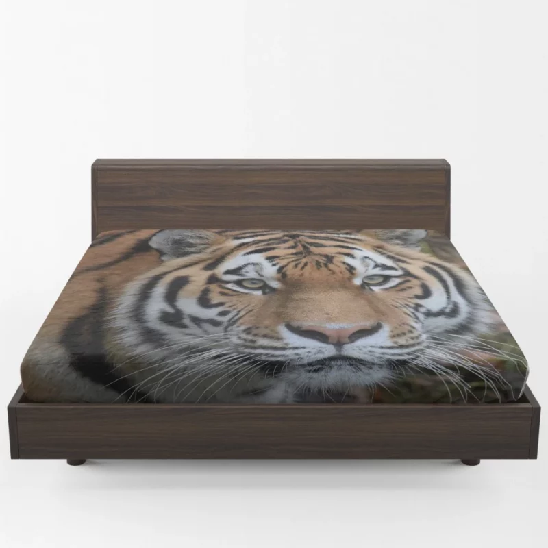 Tiger Dominant Stance Fitted Sheet