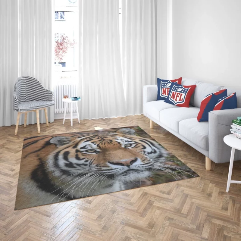 Tiger Dominant Stance Rug 2