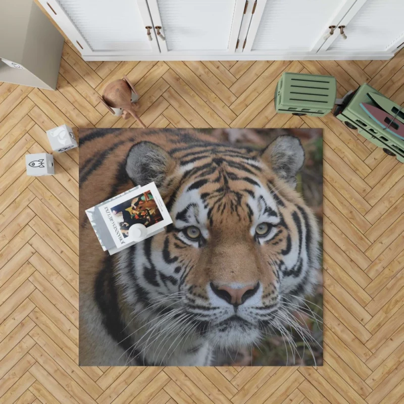 Tiger Dominant Stance Rug