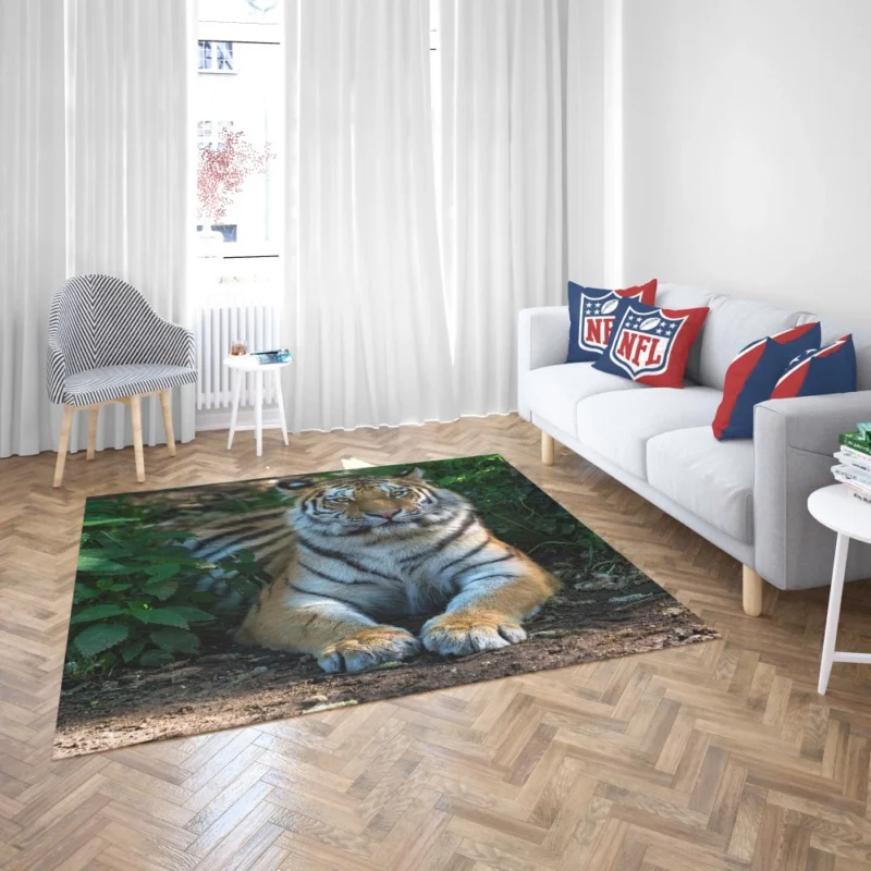 Tiger Endangered Rug 2