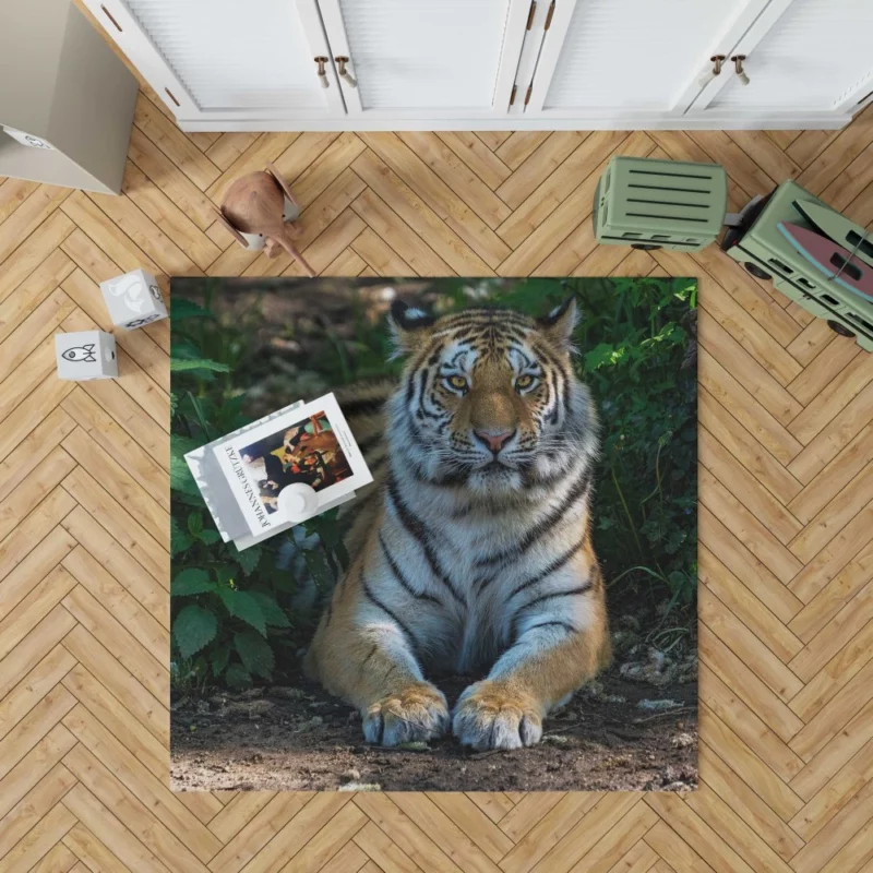 Tiger Endangered Rug