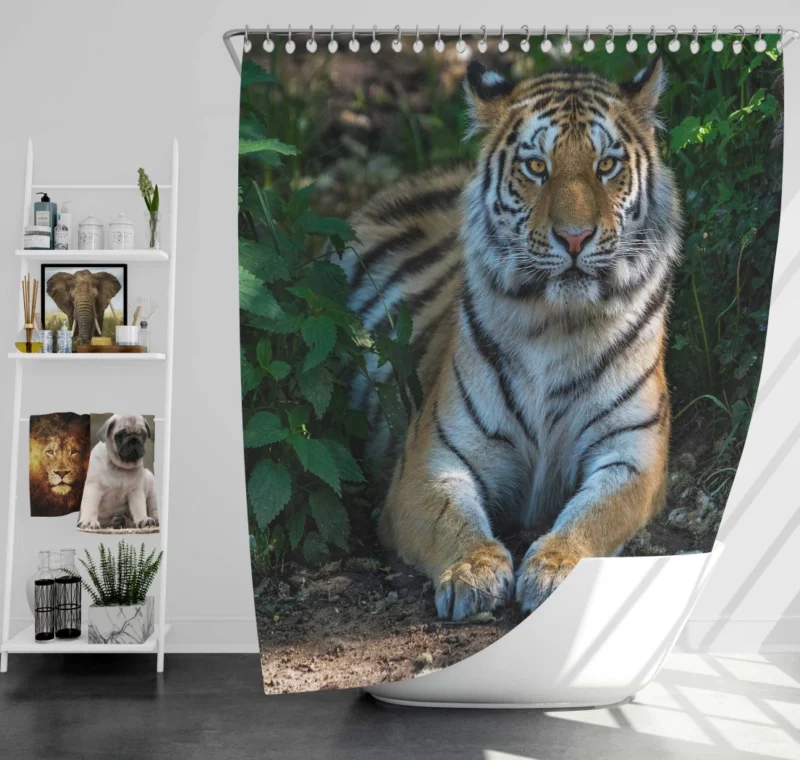 Tiger Endangered Shower Curtain