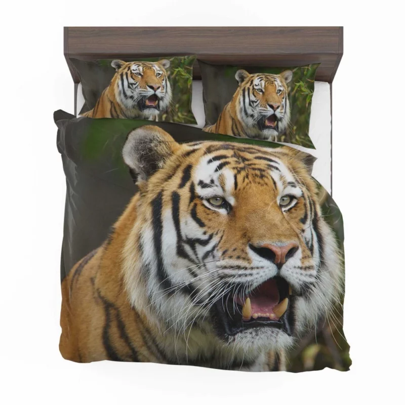 Tiger Enigmatic Gaze Wilderness Majesty Bedding Set 1