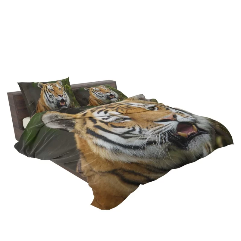 Tiger Enigmatic Gaze Wilderness Majesty Bedding Set 2