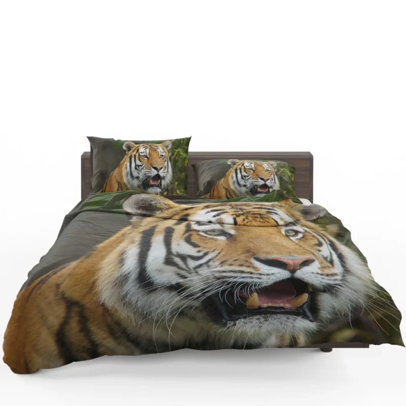 Tiger Enigmatic Gaze Wilderness Majesty Bedding Set