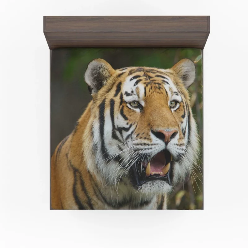 Tiger Enigmatic Gaze Wilderness Majesty Fitted Sheet 1