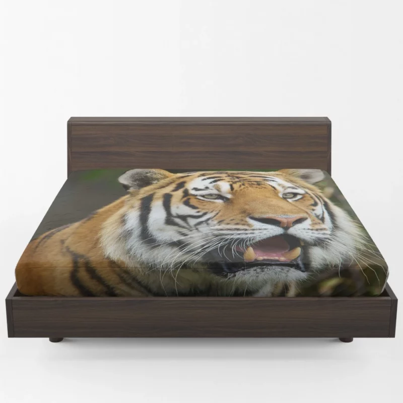 Tiger Enigmatic Gaze Wilderness Majesty Fitted Sheet