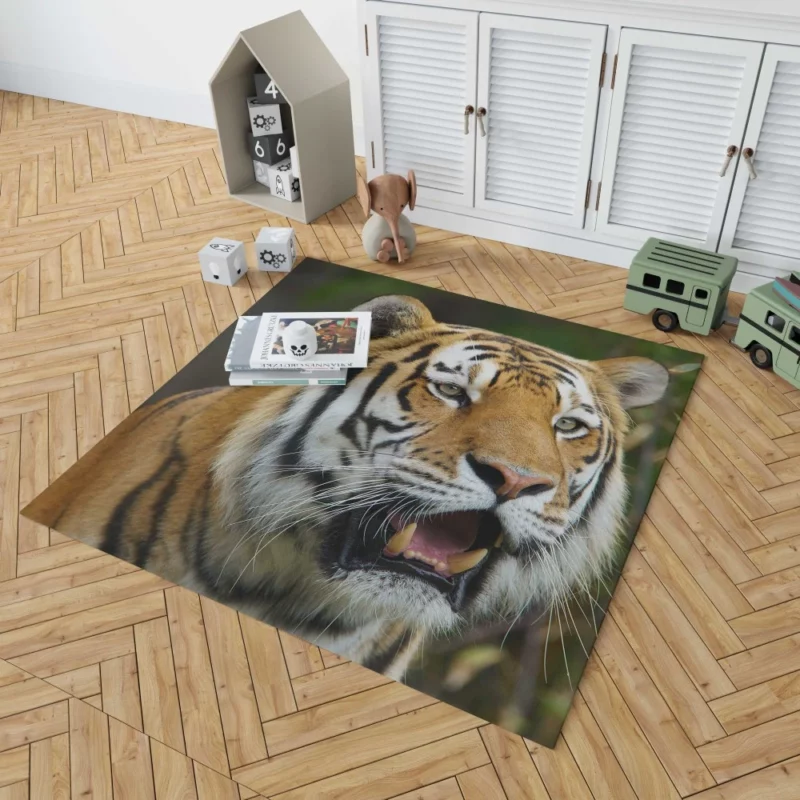 Tiger Enigmatic Gaze Wilderness Majesty Rug 1