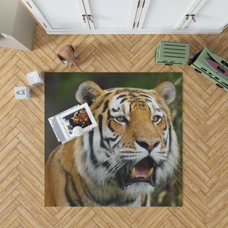 Tiger Enigmatic Gaze Wilderness Majesty Rug