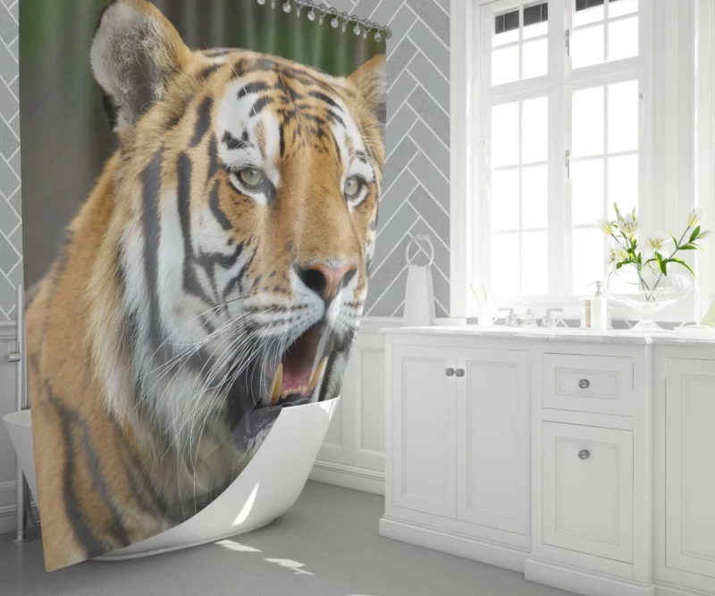 Tiger Enigmatic Gaze Wilderness Majesty Shower Curtain 1