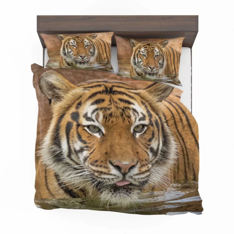 Tiger Enigmatic Stare Fierce Intrigue Bedding Set 1