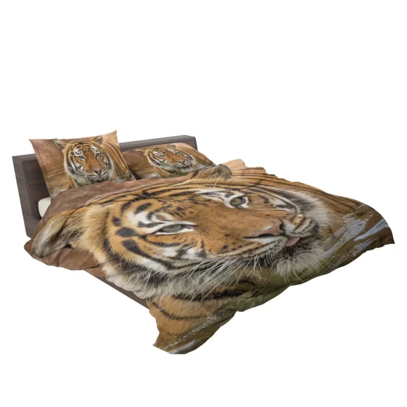 Tiger Enigmatic Stare Fierce Intrigue Bedding Set 2