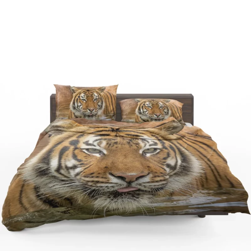 Tiger Enigmatic Stare Fierce Intrigue Bedding Set