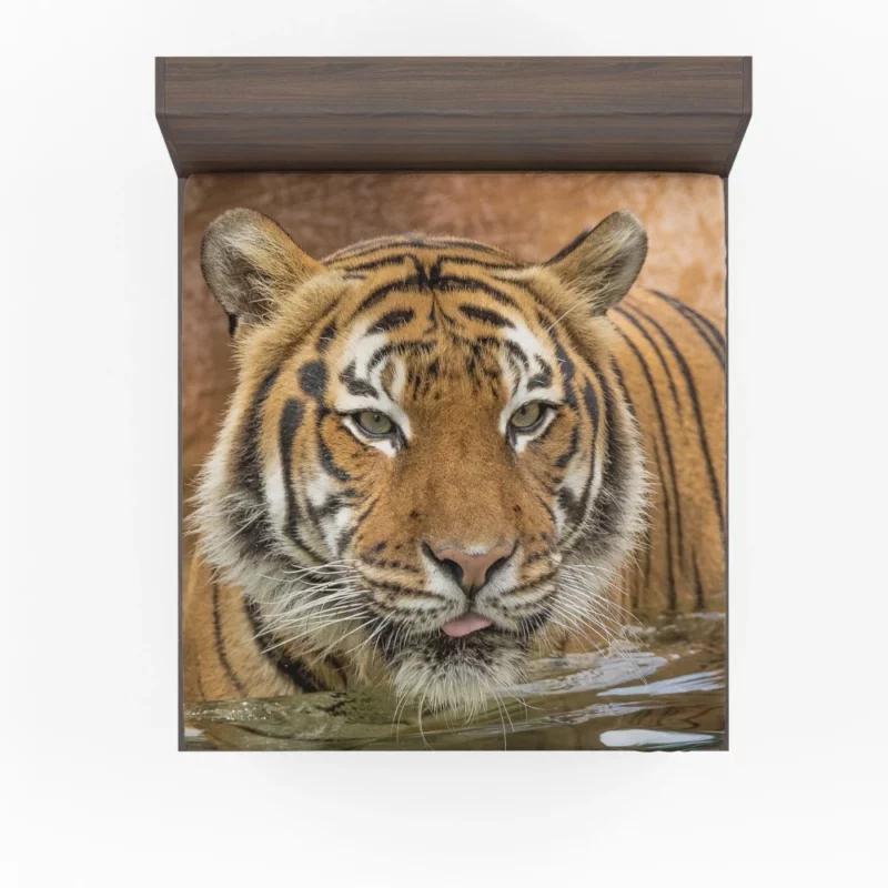 Tiger Enigmatic Stare Fierce Intrigue Fitted Sheet 1