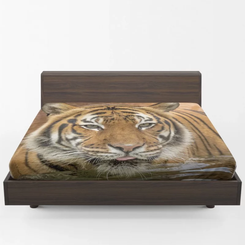 Tiger Enigmatic Stare Fierce Intrigue Fitted Sheet