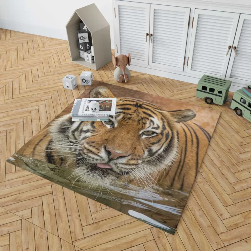 Tiger Enigmatic Stare Fierce Intrigue Rug 1