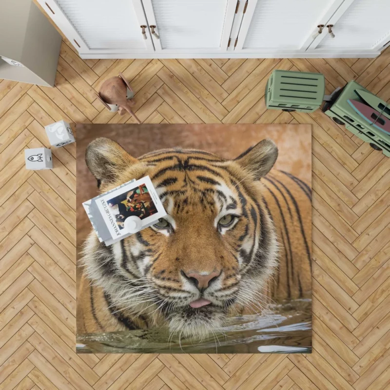 Tiger Enigmatic Stare Fierce Intrigue Rug