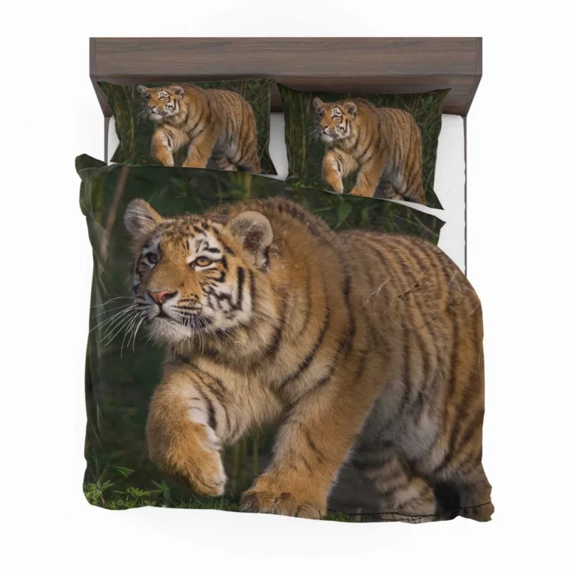 Tiger Enigmatic Stare Wilderness Majesty Bedding Set 1