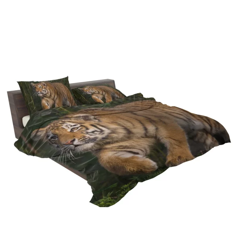 Tiger Enigmatic Stare Wilderness Majesty Bedding Set 2