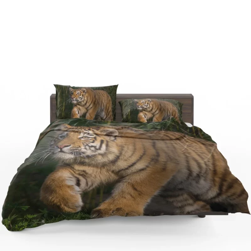 Tiger Enigmatic Stare Wilderness Majesty Bedding Set