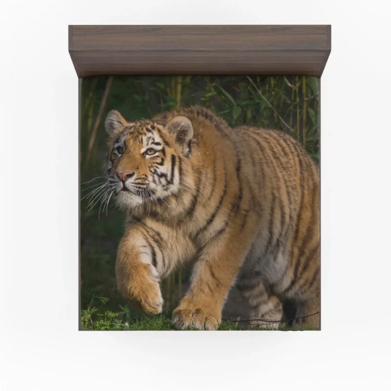 Tiger Enigmatic Stare Wilderness Majesty Fitted Sheet 1