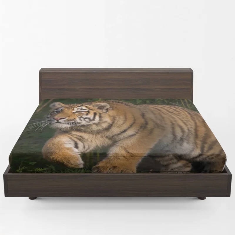 Tiger Enigmatic Stare Wilderness Majesty Fitted Sheet