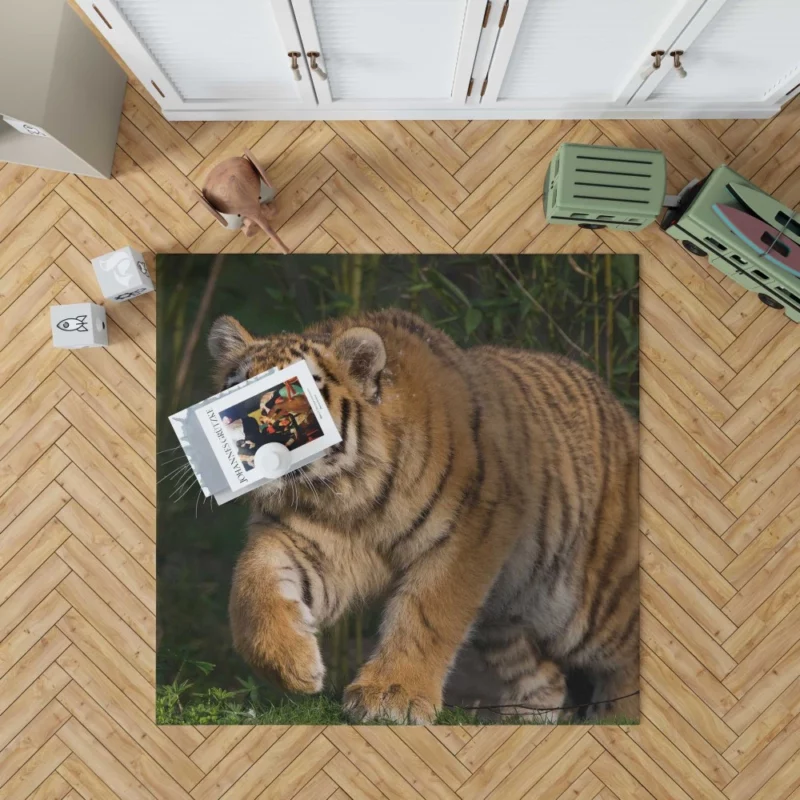 Tiger Enigmatic Stare Wilderness Majesty Rug