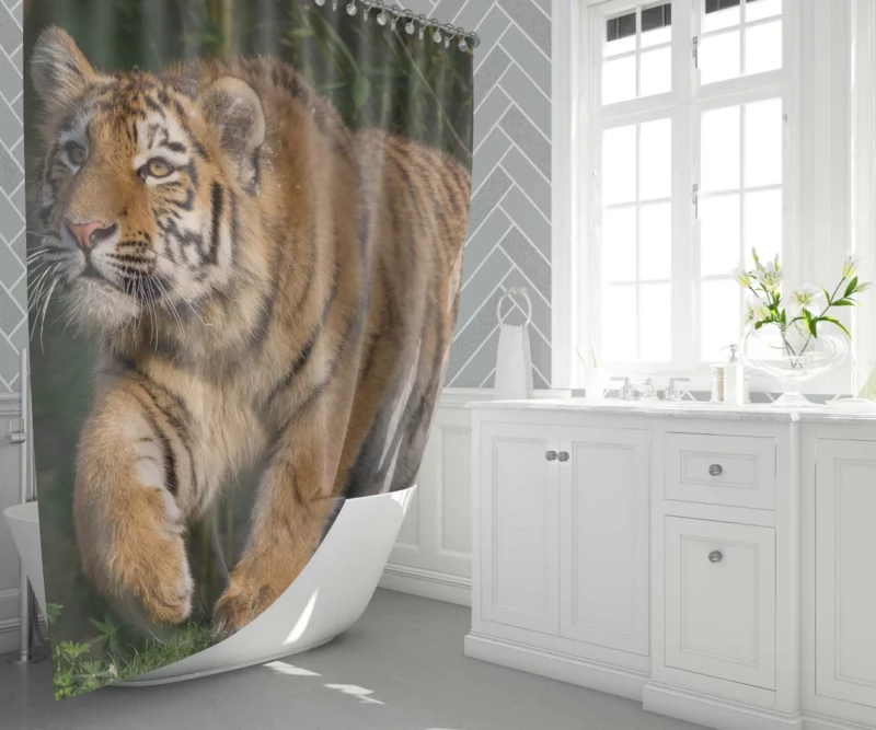 Tiger Enigmatic Stare Wilderness Majesty Shower Curtain 1