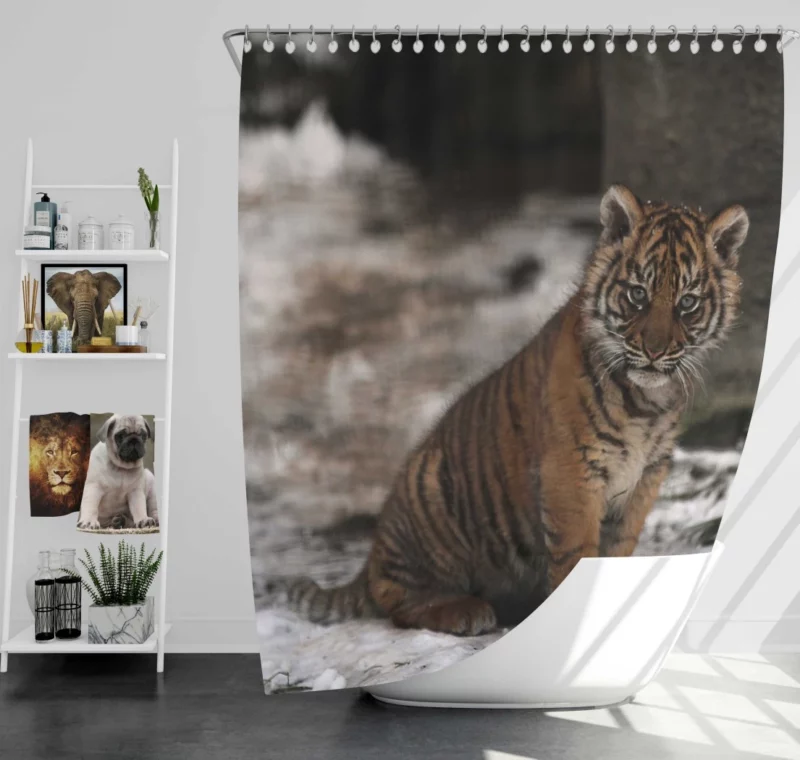 Tiger Fierce Aura Enigmatic Majesty Shower Curtain