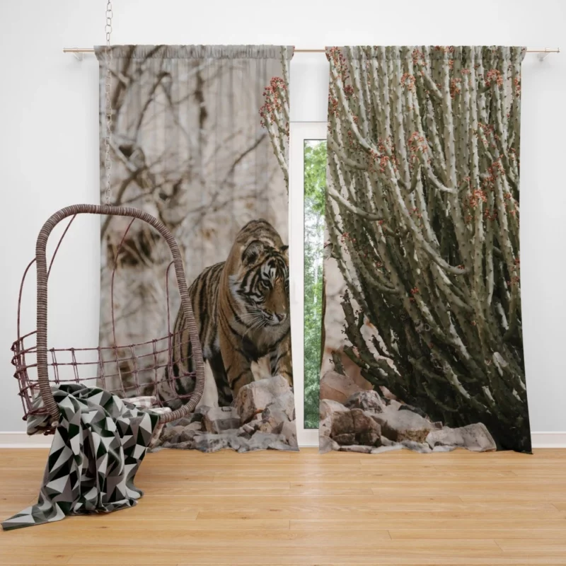 Tiger Fierce Curtain