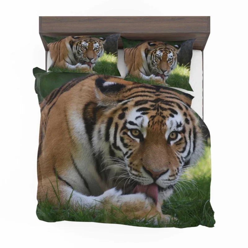 Tiger Fierce Dominance Enigmatic Power Bedding Set 1