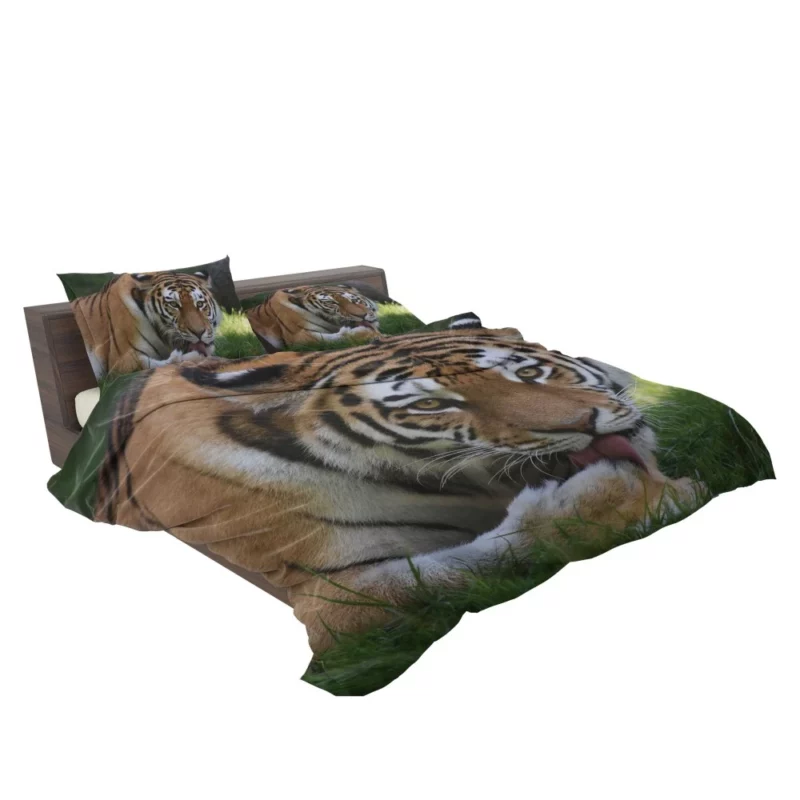 Tiger Fierce Dominance Enigmatic Power Bedding Set 2