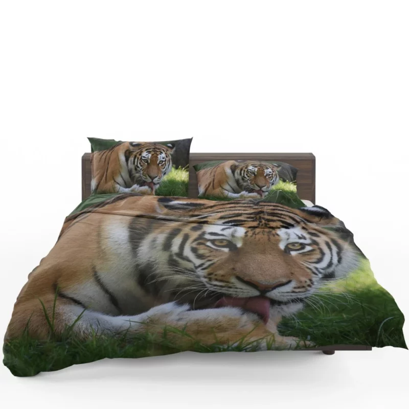 Tiger Fierce Dominance Enigmatic Power Bedding Set