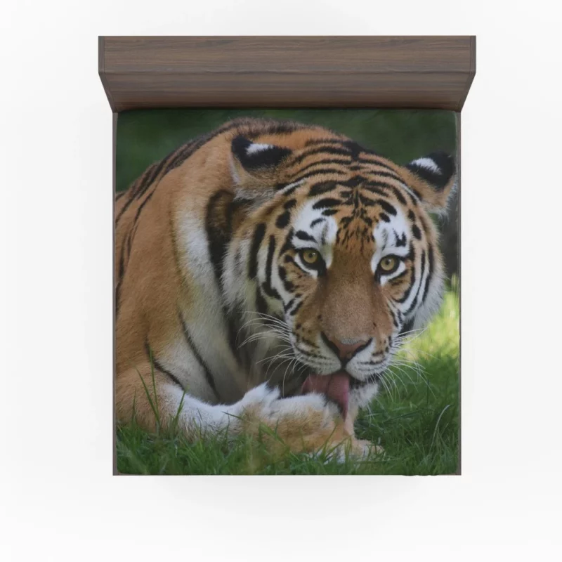 Tiger Fierce Dominance Enigmatic Power Fitted Sheet 1