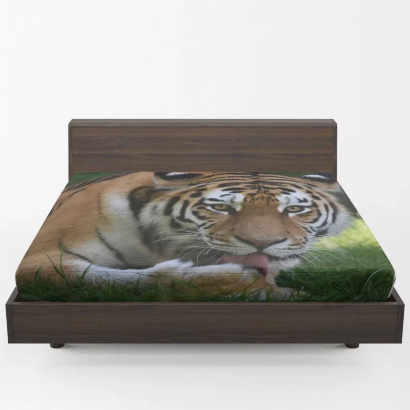 Tiger Fierce Dominance Enigmatic Power Fitted Sheet