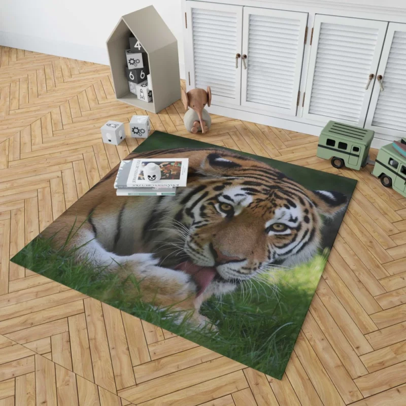 Tiger Fierce Dominance Enigmatic Power Rug 1