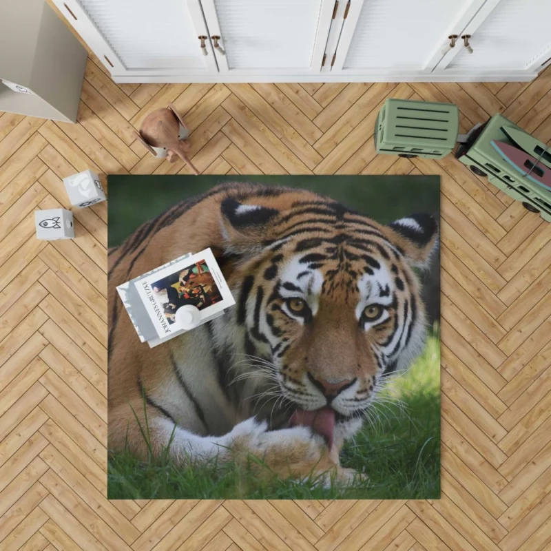 Tiger Fierce Dominance Enigmatic Power Rug