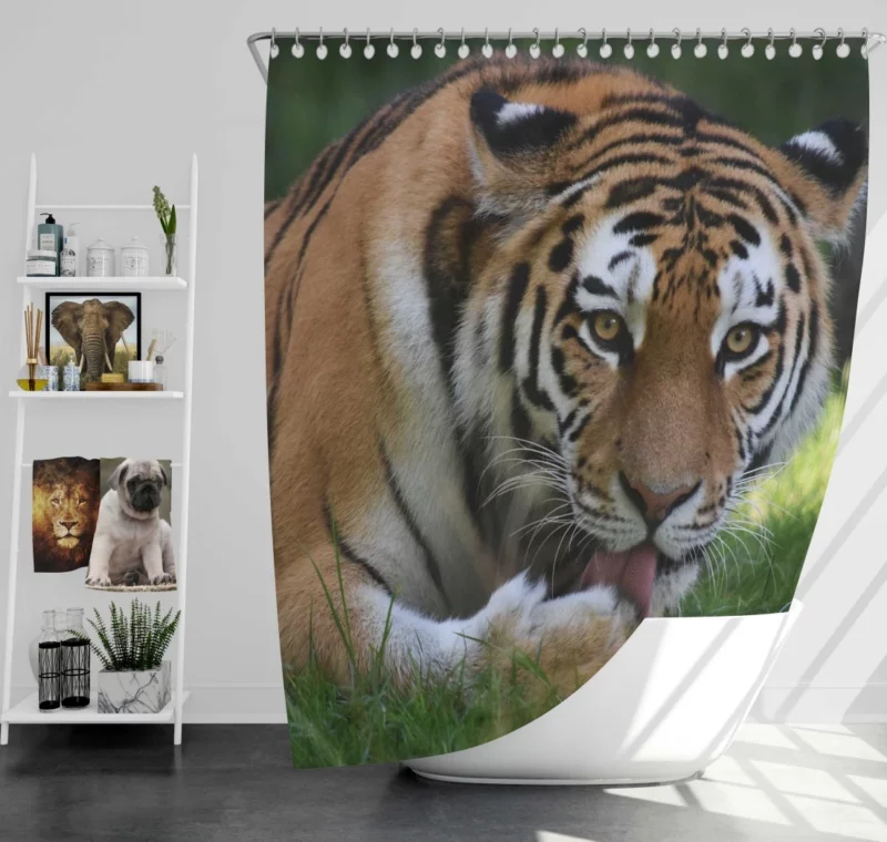 Tiger Fierce Dominance Enigmatic Power Shower Curtain