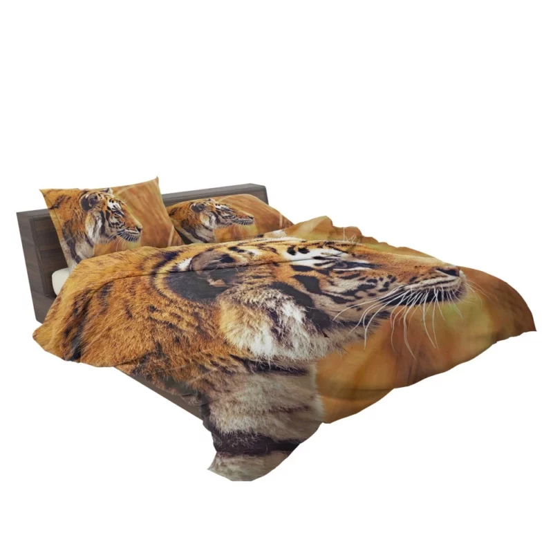 Tiger Fierce Gaze Dominant Predator Bedding Set 2