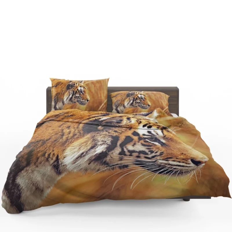 Tiger Fierce Gaze Dominant Predator Bedding Set