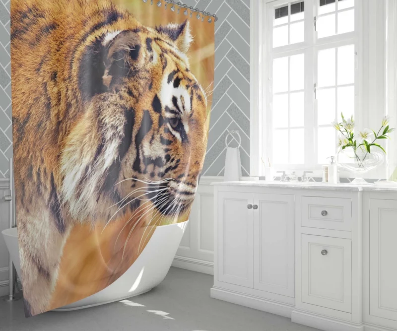 Tiger Fierce Gaze Dominant Predator Shower Curtain 1