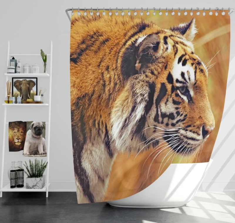 Tiger Fierce Gaze Dominant Predator Shower Curtain