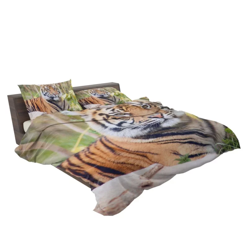 Tiger Fierce Gaze Majestic Intrigue Bedding Set 2