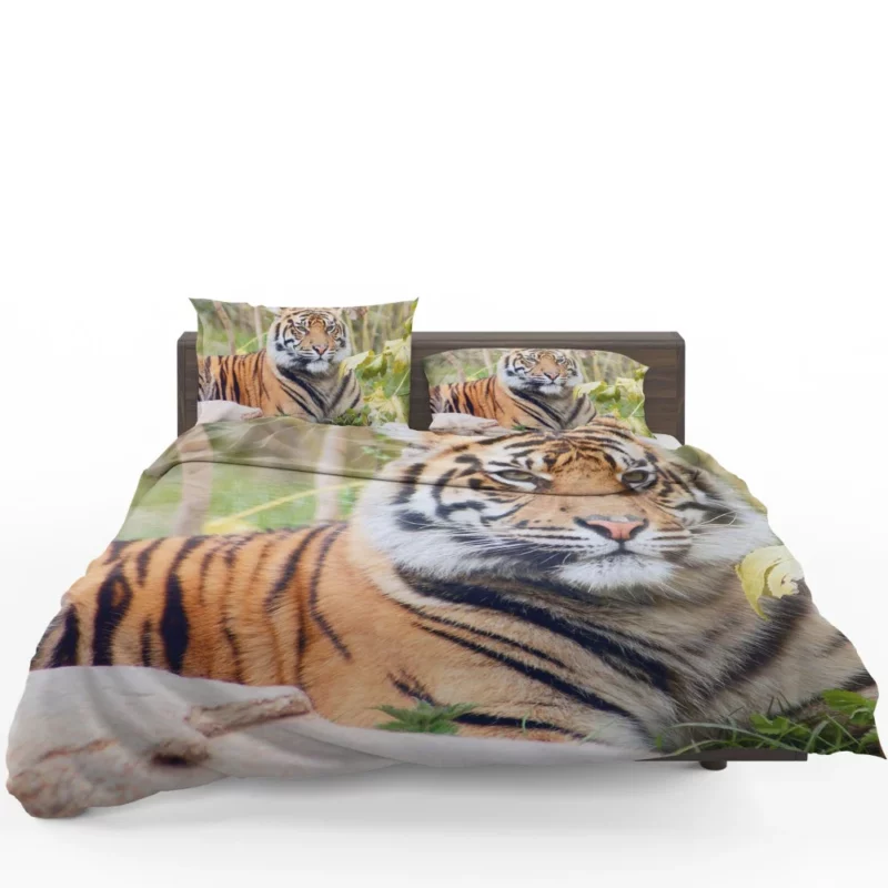 Tiger Fierce Gaze Majestic Intrigue Bedding Set