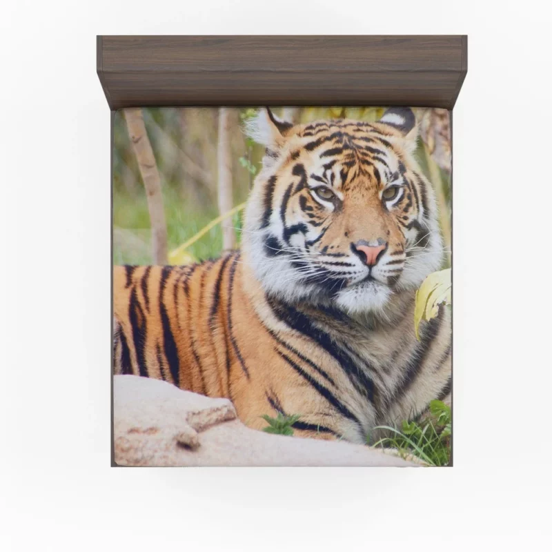 Tiger Fierce Gaze Majestic Intrigue Fitted Sheet 1